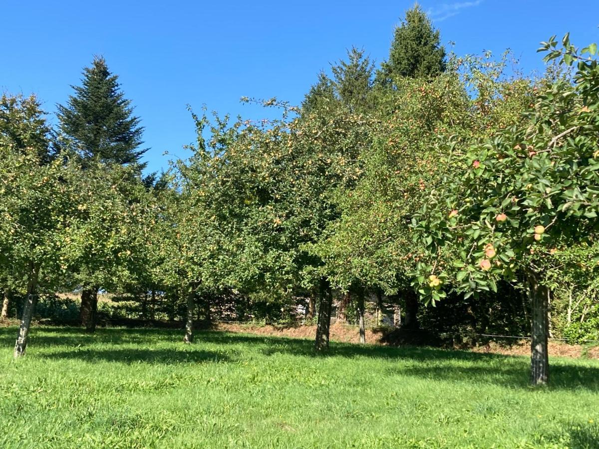 « Le Petit Verger » Hambye Exterior foto